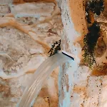 Pietraluna Luxury Giovinazzo